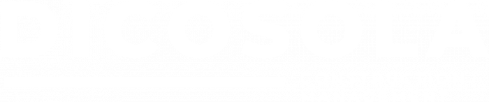DiCosola Construction