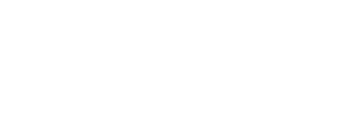 DiCosola Development